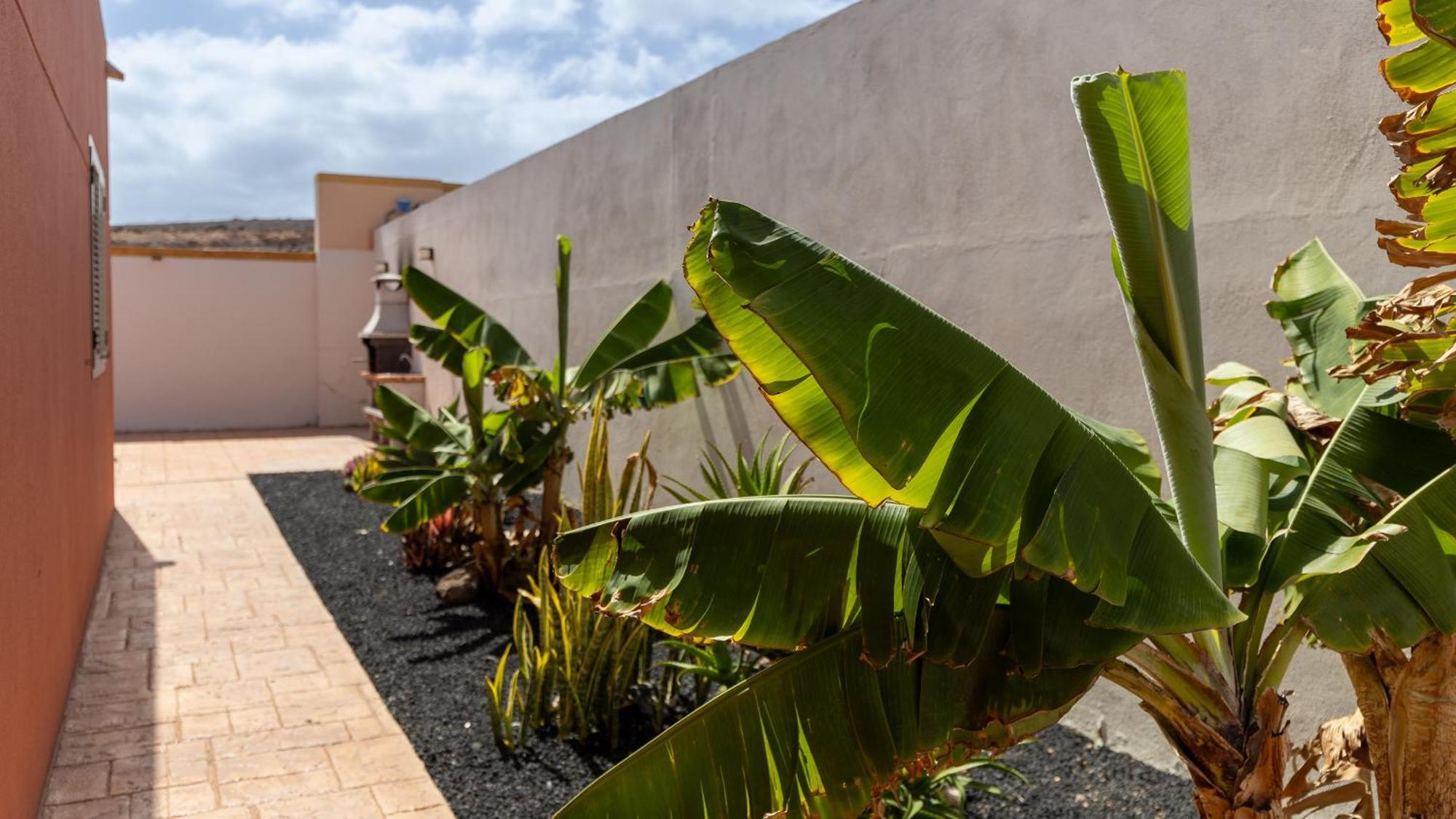 Villa Vento By Calima Villas Costa De Antigua Exteriör bild